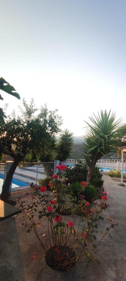 Casa Do Monte Villa คาสโตร ดายเร ภายนอก รูปภาพ